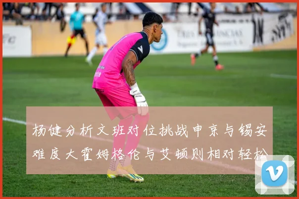 杨健分析文班对位挑战申京与锡安难度大霍姆格伦与艾顿则相对轻松