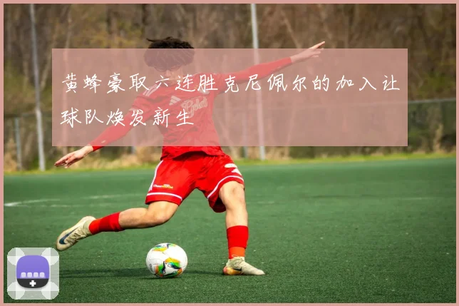 黄蜂豪取六连胜克尼佩尔的加入让球队焕发新生