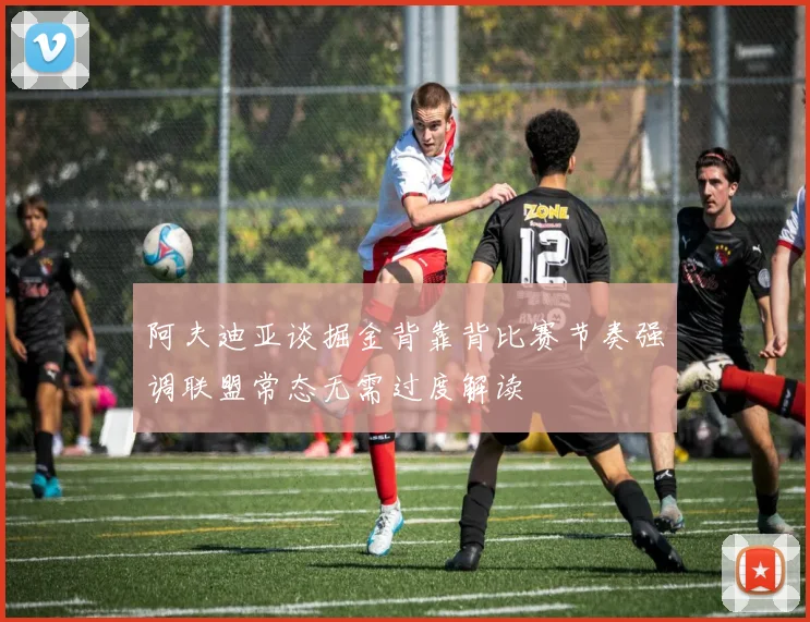 阿夫迪亚谈掘金背靠背比赛节奏强调联盟常态无需过度解读